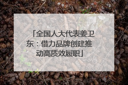 全国人大代表姜卫东：借力品牌创建推动高质效履职