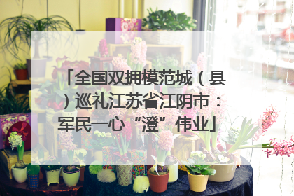 全国双拥模范城（县）巡礼江苏省江阴市：军民一心“澄”伟业