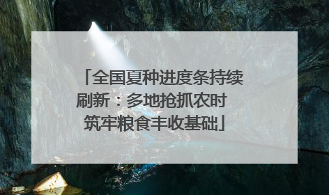 全国夏种进度条持续刷新：多地抢抓农时 筑牢粮食丰收基础