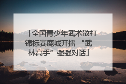 全国青少年武术散打锦标赛鹿城开擂 “武林高手”强强对话