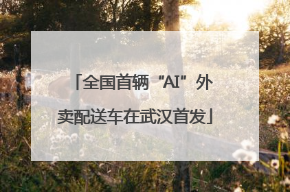 全国首辆“AI”外卖配送车在武汉首发