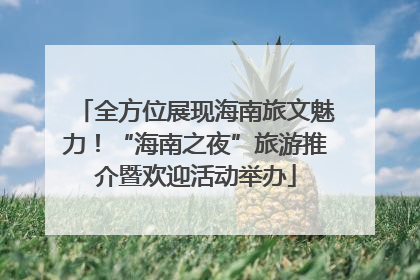 全方位展现海南旅文魅力！“海南之夜”旅游推介暨欢迎活动举办