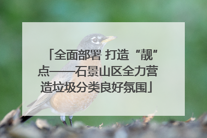 全面部署 打造“靓” 点——石景山区全力营造垃圾分类良好氛围