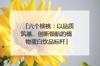 六个核桃：以品质筑基、创新领航的植物蛋白饮品标杆