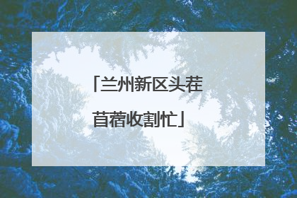 兰州新区头茬苜蓿收割忙