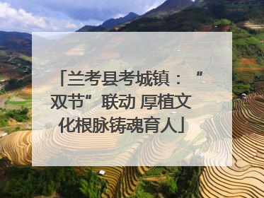 兰考县考城镇：“双节”联动 厚植文化根脉铸魂育人