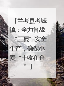 兰考县考城镇：全力备战“三夏”安全生产，确保小麦“丰收在仓”