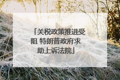 关税政策推进受阻 特朗普政府求助上诉法院