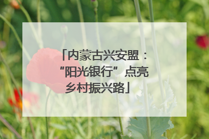 内蒙古兴安盟：“阳光银行”点亮乡村振兴路