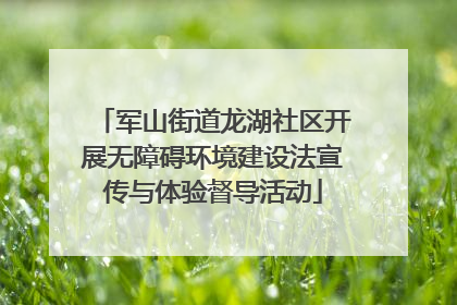 军山街道龙湖社区开展无障碍环境建设法宣传与体验督导活动