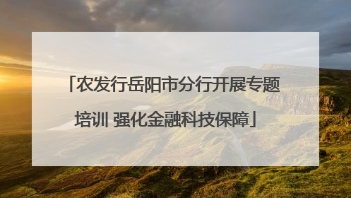 农发行岳阳市分行开展专题培训 强化金融科技保障