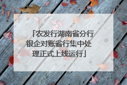 农发行湖南省分行银企对账省行集中处理正式上线运行