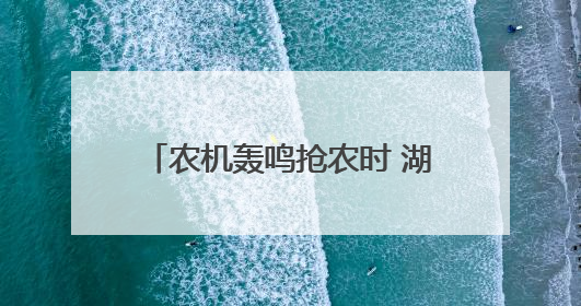 农机轰鸣抢农时 湖滨“开镰”麦飘香