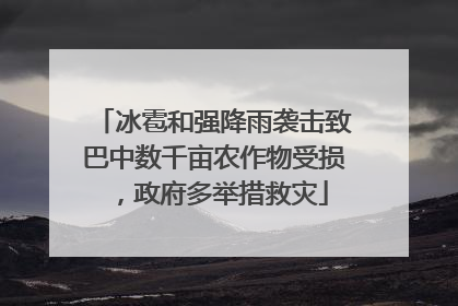 冰雹和强降雨袭击致巴中数千亩农作物受损，政府多举措救灾