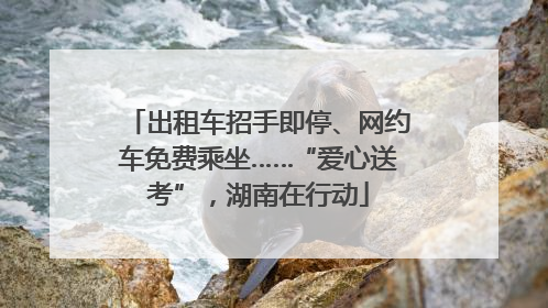 出租车招手即停、网约车免费乘坐……“爱心送考”，湖南在行动