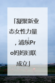 凝聚新业态女性力量，浦东Pro妈妈妇联成立