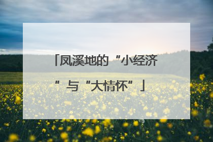 凤溪地的“小经济”与“大情怀”