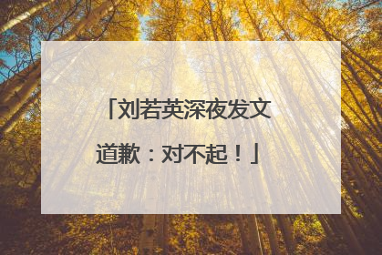 刘若英深夜发文道歉：对不起！