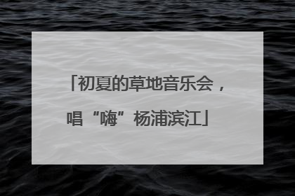 初夏的草地音乐会，唱“嗨”杨浦滨江
