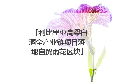 利比里亚高粱白酒全产业链项目落地自贸雨花区块