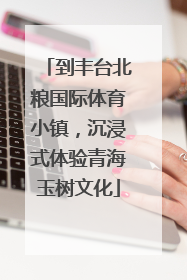 到丰台北粮国际体育小镇，沉浸式体验青海玉树文化