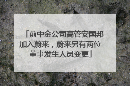 前中金公司高管安国邦加入蔚来，蔚来另有两位董事发生人员变更