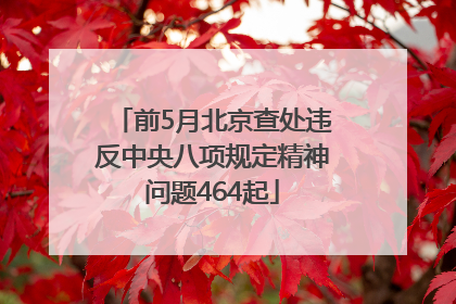 前5月北京查处违反中央八项规定精神问题464起