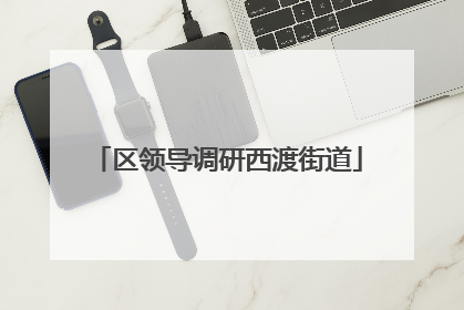 区领导调研西渡街道