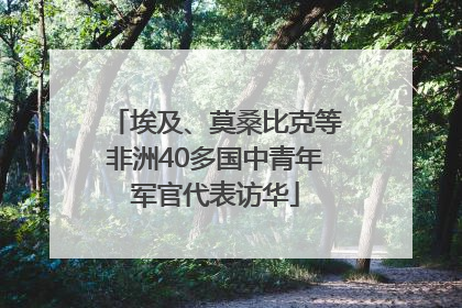 埃及、莫桑比克等非洲40多国中青年军官代表访华
