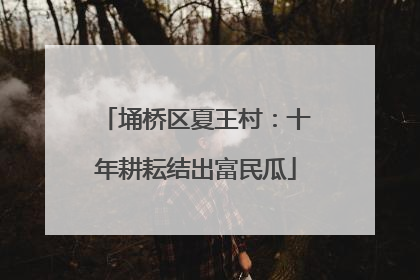 埇桥区夏王村：十年耕耘结出富民瓜