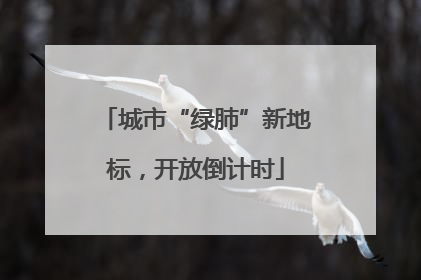 城市“绿肺”新地标，开放倒计时