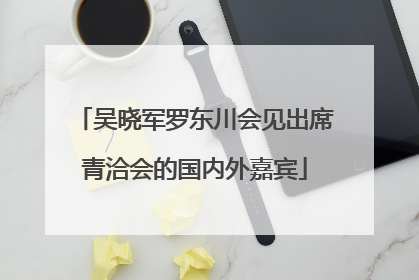 吴晓军罗东川会见出席青洽会的国内外嘉宾