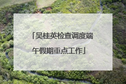 吴桂英检查调度端午假期重点工作