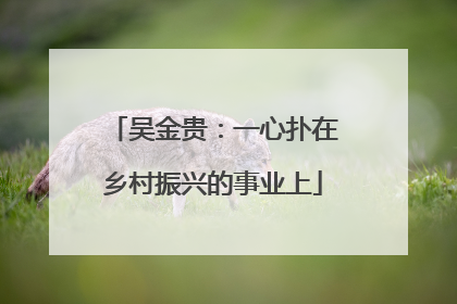 吴金贵：一心扑在乡村振兴的事业上