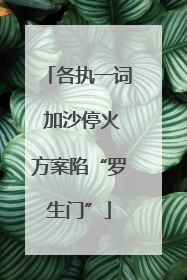 各执一词 加沙停火方案陷“罗生门”