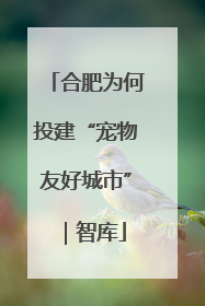 合肥为何投建“宠物友好城市”｜智库