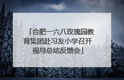 合肥一六八玫瑰园教育集团赴习友小学召开视导总结反馈会