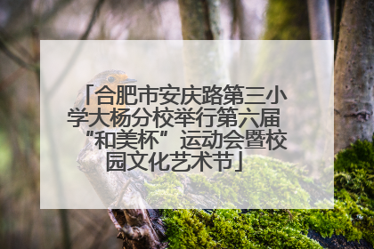 合肥市安庆路第三小学大杨分校举行第六届“和美杯”运动会暨校园文化艺术节