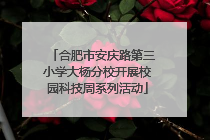 合肥市安庆路第三小学大杨分校开展校园科技周系列活动