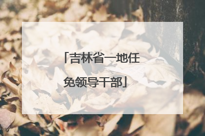 吉林省一地任免领导干部