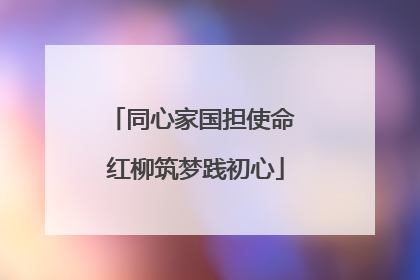 同心家国担使命 红柳筑梦践初心