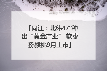 同江：北纬47°种出“黄金产业” 软枣猕猴桃9月上市