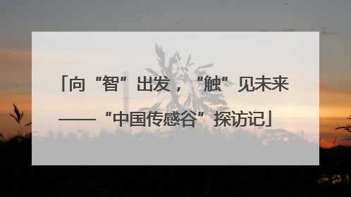 向“智”出发，“触”见未来——“中国传感谷”探访记