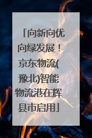 向新向优向绿发展！京东物流(豫北)智能物流港在辉县市启用