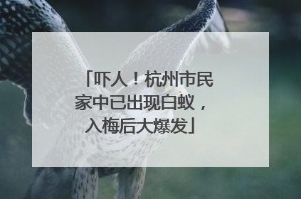 吓人！杭州市民家中已出现白蚁，入梅后大爆发