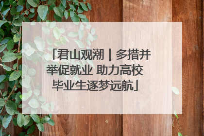 君山观潮｜多措并举促就业 助力高校毕业生逐梦远航