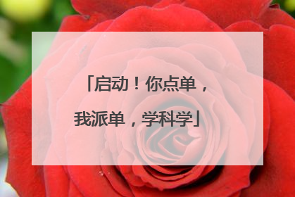 启动！你点单，我派单，学科学