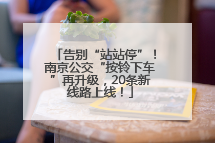 告别“站站停”！南京公交“按铃下车”再升级，20条新线路上线！