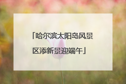 哈尔滨太阳岛风景区添新景迎端午