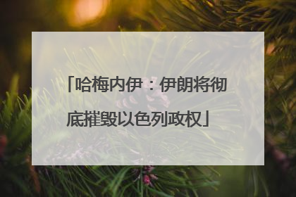 哈梅内伊：伊朗将彻底摧毁以色列政权